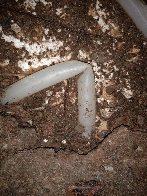 彝良堵点精准查找